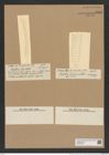 Rhizosolenia sima Castr. (de-Toni-Nr.: Genus 114, Species 3300) Zeichnungen Sammlung Grunow Nr. 6682 (NHMW-BOT-W0375478)